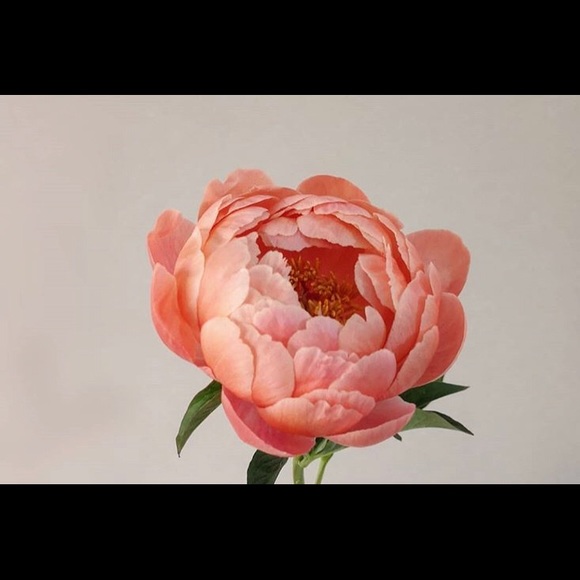 WELCOME!!😄⭐️😄⭐️😄⭐️😄💋 - Picture 7 of 8